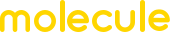 Molecule Molecule